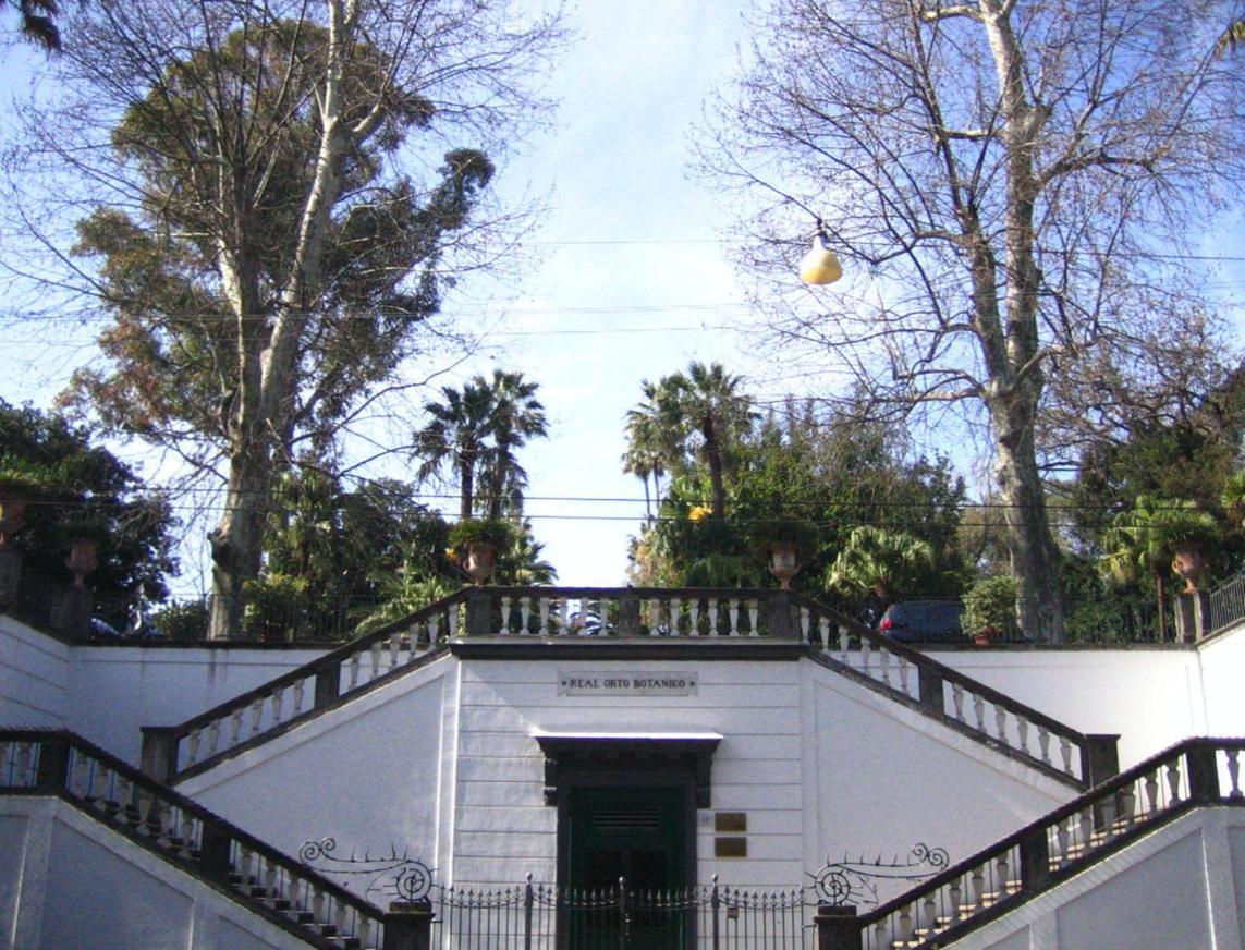 Ira House Apartment Naples Exterior photo